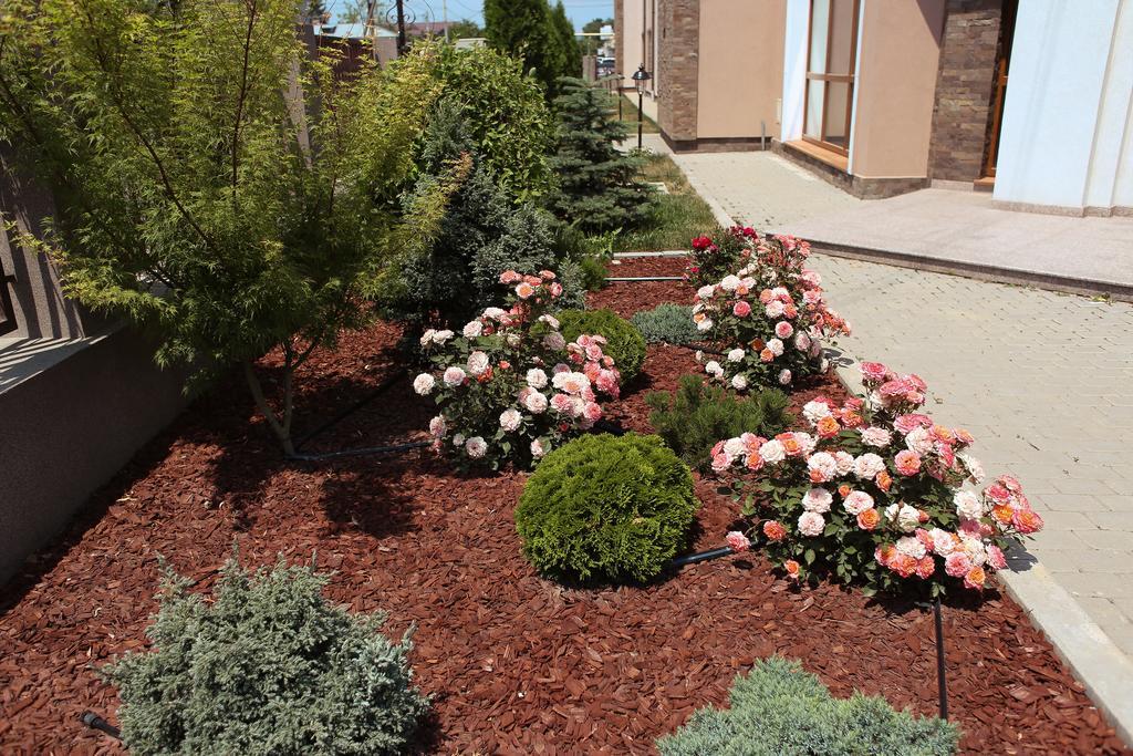 Hotel Bohemia Bacau Bagian luar foto